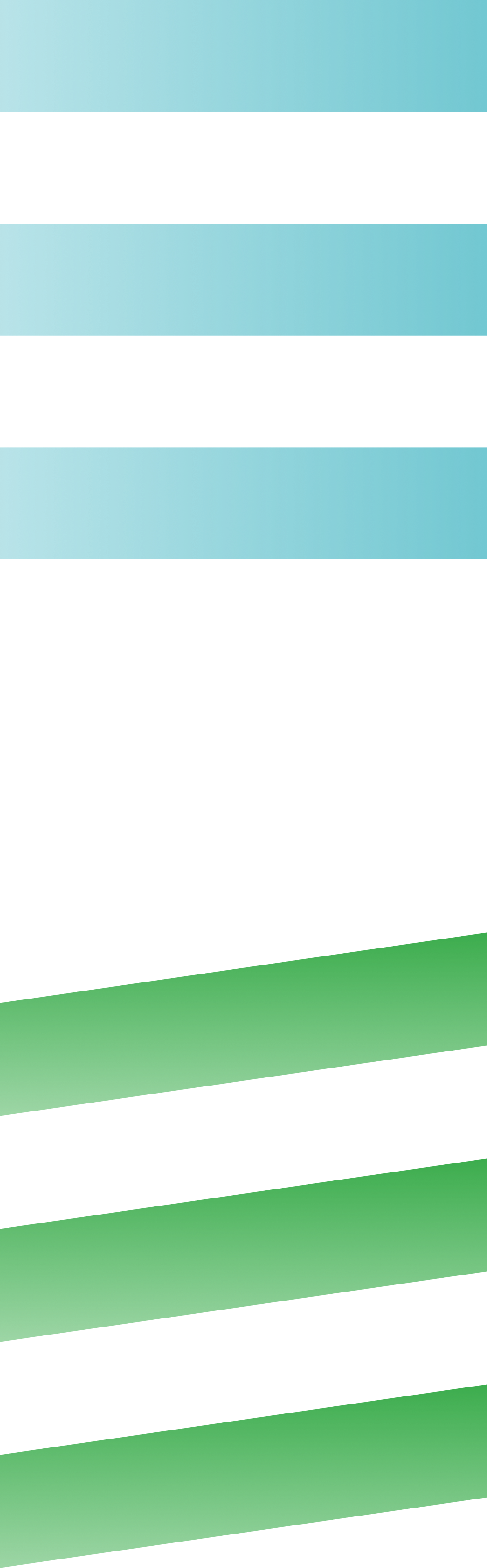project stripes
